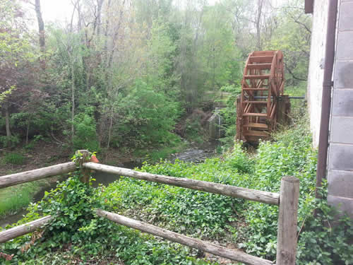 Old Mill Water Wheel and Wooded Creekside Setting